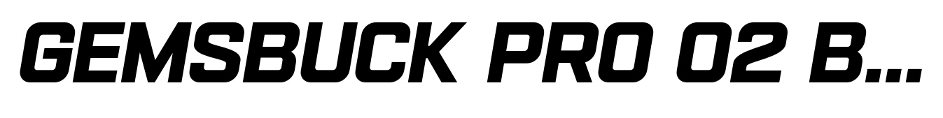 Gemsbuck Pro 02 Black Italic